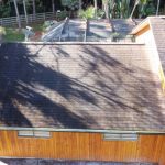 Shingle Roof Cleaning