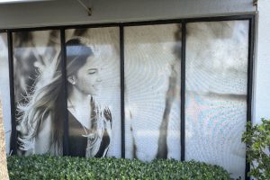 Five Reasons to Invest in Commercial Window Washing for Your Business