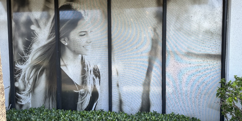 Five Reasons to Invest in Commercial Window Washing for Your Business